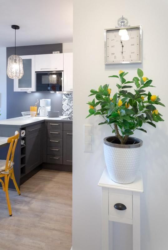 Lemon Tree Westerland